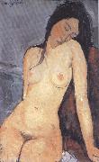 Amedeo Modigliani Seted Nude (mk39) Spain oil painting reproduction